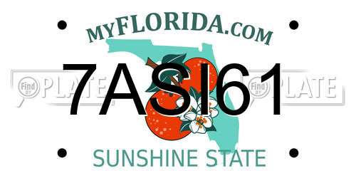 7ASI61 Florida License Plate