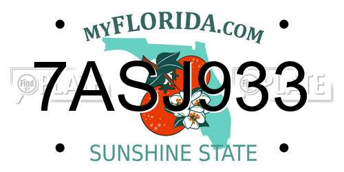 7ASJ933 Florida License Plate