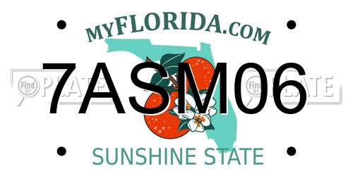 7ASM06 Florida License Plate