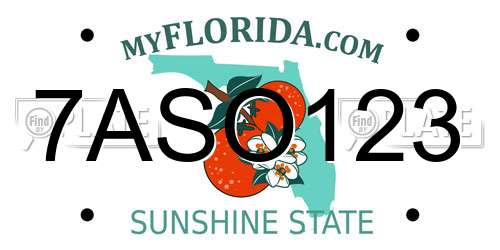 7ASO123 Florida License Plate