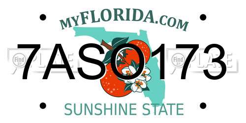 7ASO173 Florida License Plate