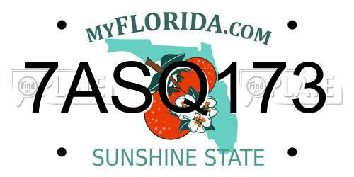 7ASQ173 Florida License Plate