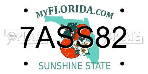 7ASS82 Florida License Plate