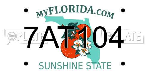 7AT104 Florida License Plate