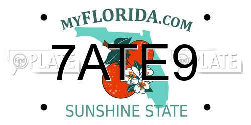 7ATE9 Florida License Plate