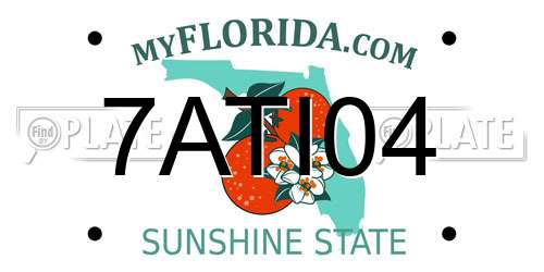 7ATI04 Florida License Plate