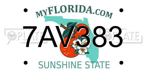 7AV383 Florida License Plate