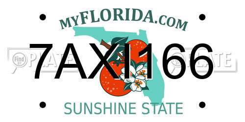7AXI166 Florida License Plate