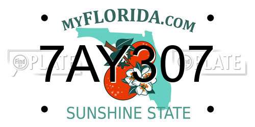 7AY307 Florida License Plate