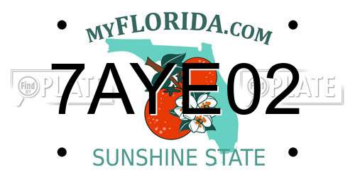 7AYE02 Florida License Plate