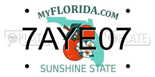 7AYE07 Florida License Plate