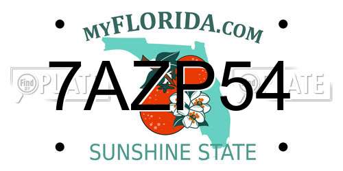 7AZP54 Florida License Plate