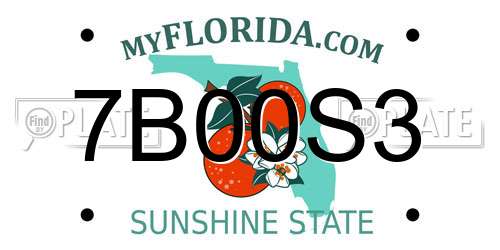 7B00S3 Florida License Plate