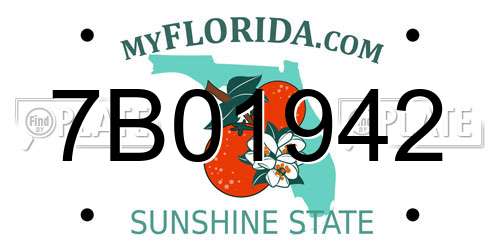 7B01942 Florida License Plate