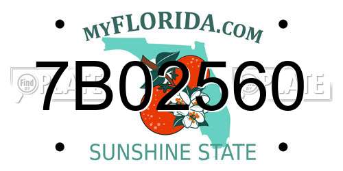 7B02560 Florida License Plate