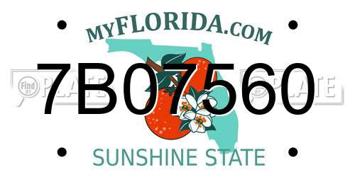 7B07560 Florida License Plate