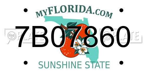 7B07860 Florida License Plate