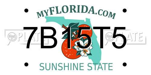7B15T5 Florida License Plate