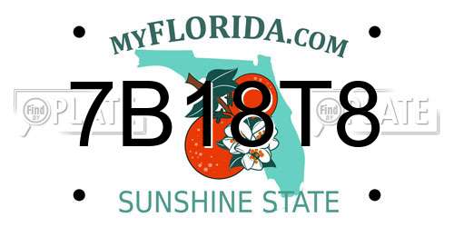 7B18T8 Florida License Plate