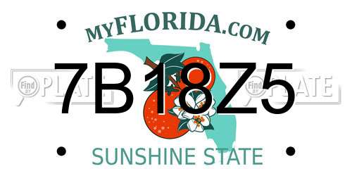 7B18Z5 Florida License Plate