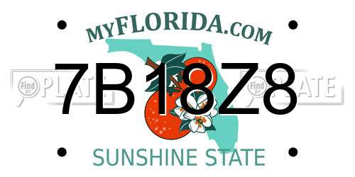 7B18Z8 Florida License Plate