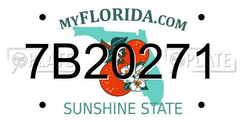 7B20271 Florida License Plate
