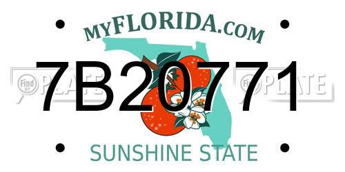 7B20771 Florida License Plate
