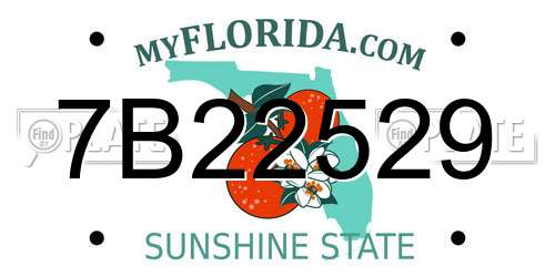7B22529 Florida License Plate