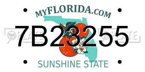 7B23255 Florida License Plate