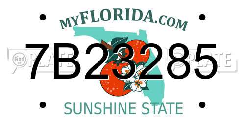 7B23285 Florida License Plate
