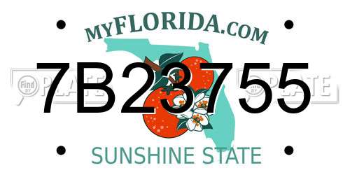 7B23755 Florida License Plate