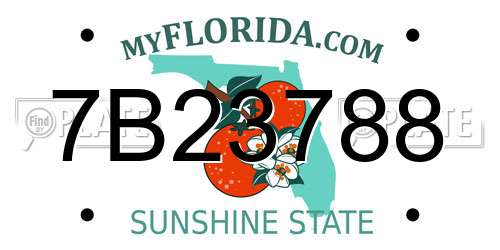 7B23788 Florida License Plate