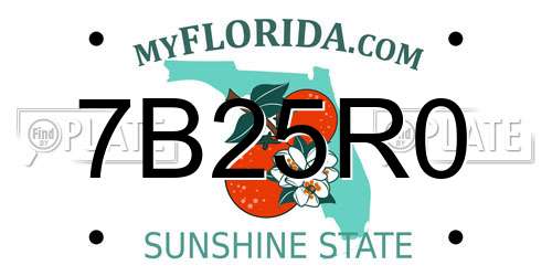 7B25R0 Florida License Plate