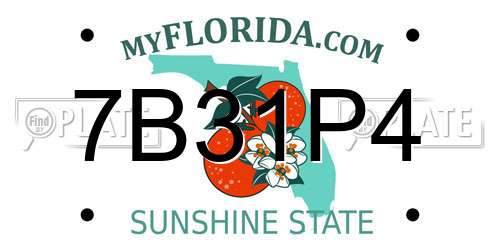 7B31P4 Florida License Plate