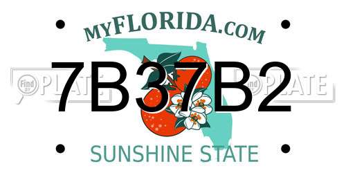 7B37B2 Florida License Plate