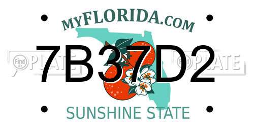 7B37D2 Florida License Plate