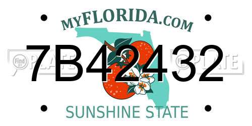 7B42432 Florida License Plate