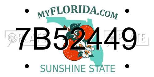 7B52449 Florida License Plate