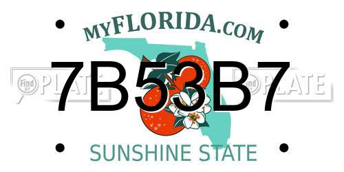 7B53B7 Florida License Plate