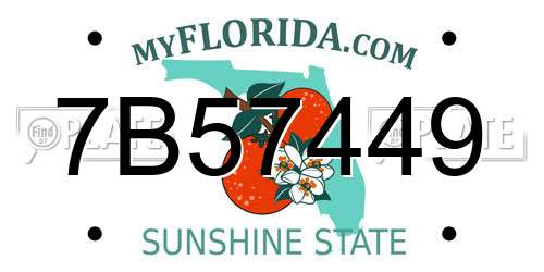 7B57449 Florida License Plate