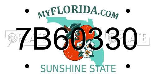 7B60330 Florida License Plate