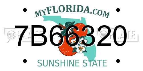 7B66320 Florida License Plate