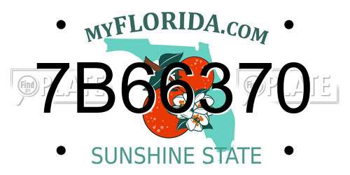 7B66370 Florida License Plate