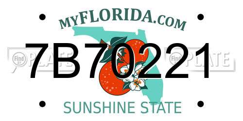 7B70221 Florida License Plate