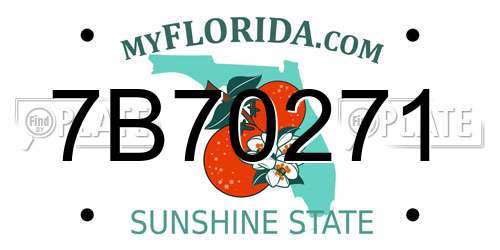 7B70271 Florida License Plate