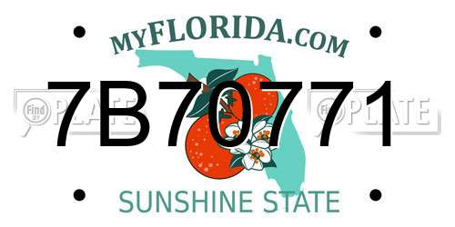 7B70771 Florida License Plate