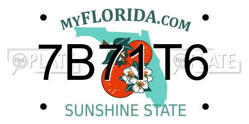 7B71T6 Florida License Plate