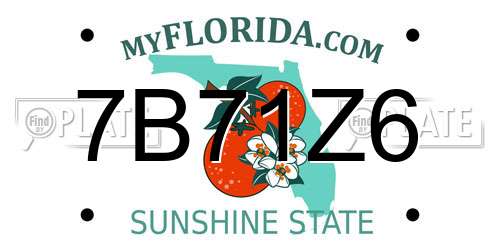 7B71Z6 Florida License Plate