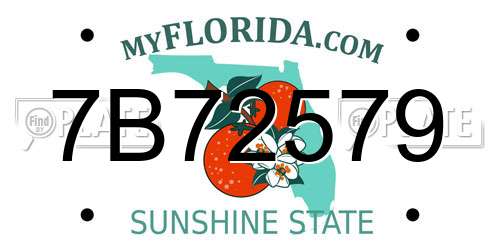 7B72579 Florida License Plate