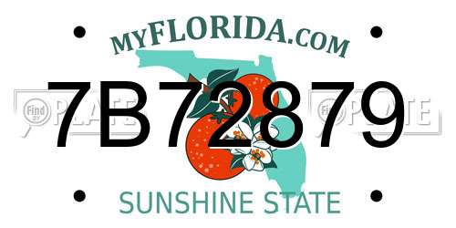 7B72879 Florida License Plate